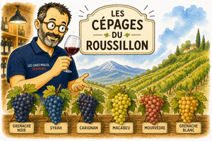 Aux Caves Maillol, nous aimons rappeler que derrière chaque bouteille se cachent avant tout des raisins, chacun apportant sa propre expression aromatique.