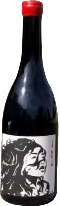 Clos del Rey - Noïa - Vin Rouge