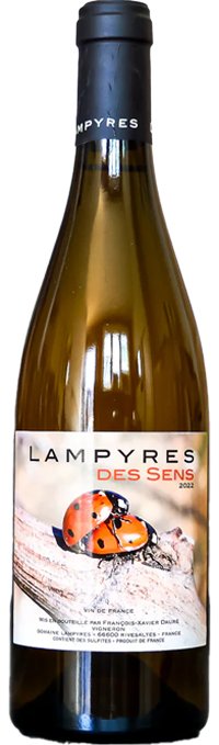 Domaine des Lampyres - Lampyres des Sens - Vin Blanc